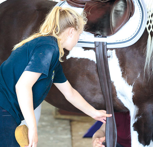 Saddle fitting
